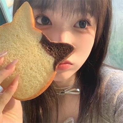 疯人计划