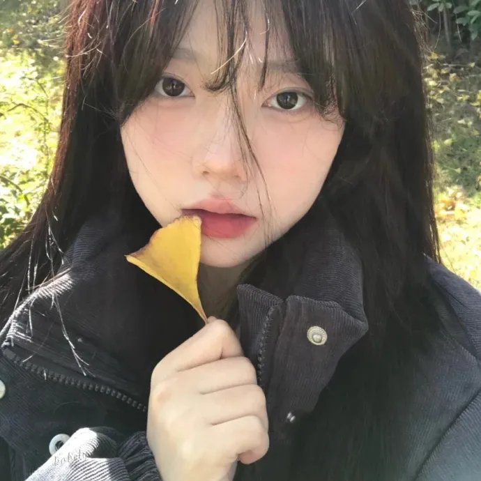 最爱2019
