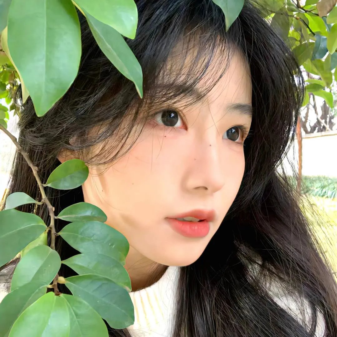 他们/她们